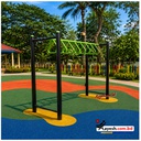Monkey Bridge